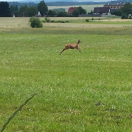 Peter Dietmanns bei Waidhofen