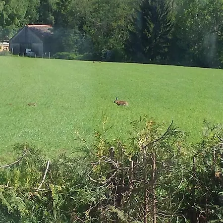 Dom wakacyjny Peter Dietmanns bei Waidhofen