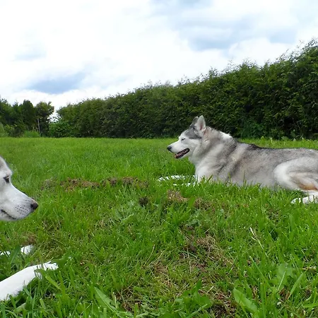 Dom wakacyjny Peter Dietmanns bei Waidhofen