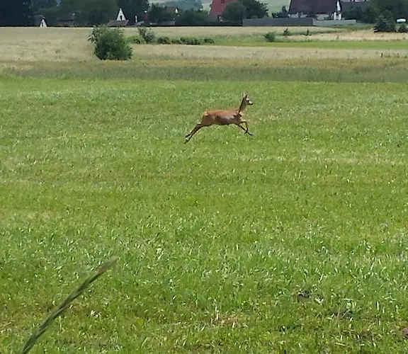 Peter Dietmanns bei Waidhofen