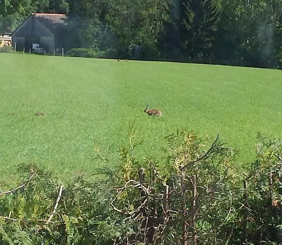 Tatil Evi Peter Dietmanns bei Waidhofen
