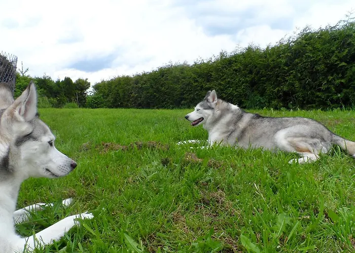 Tatil Evi Peter Dietmanns bei Waidhofen