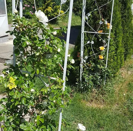 Peter Tatil Evi Dietmanns bei Waidhofen